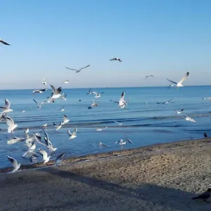 https://apartamenty-przy-plazy-sopot.sopothotels.com